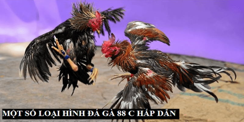 Ưu điểm khi tham gia Đà gà 88 tại Net88
